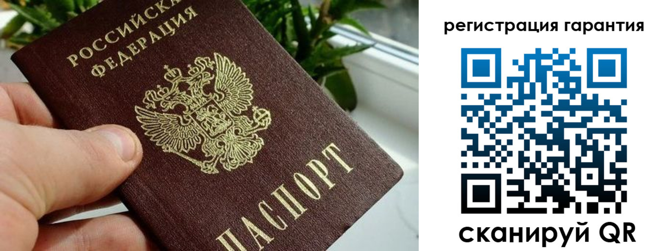 временная регистрация надежно в Калининградской области